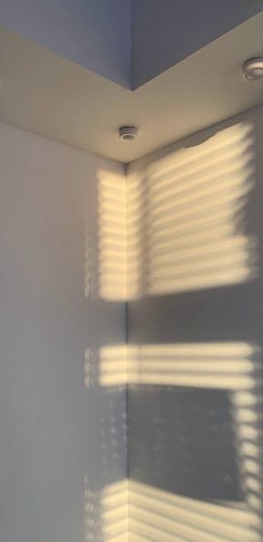 Image2